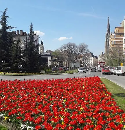 Ars Novi Sad